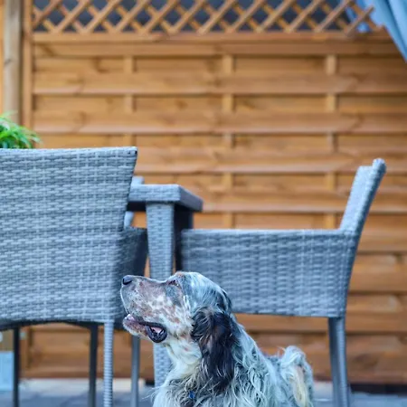 Na Ziolowej Погожелица